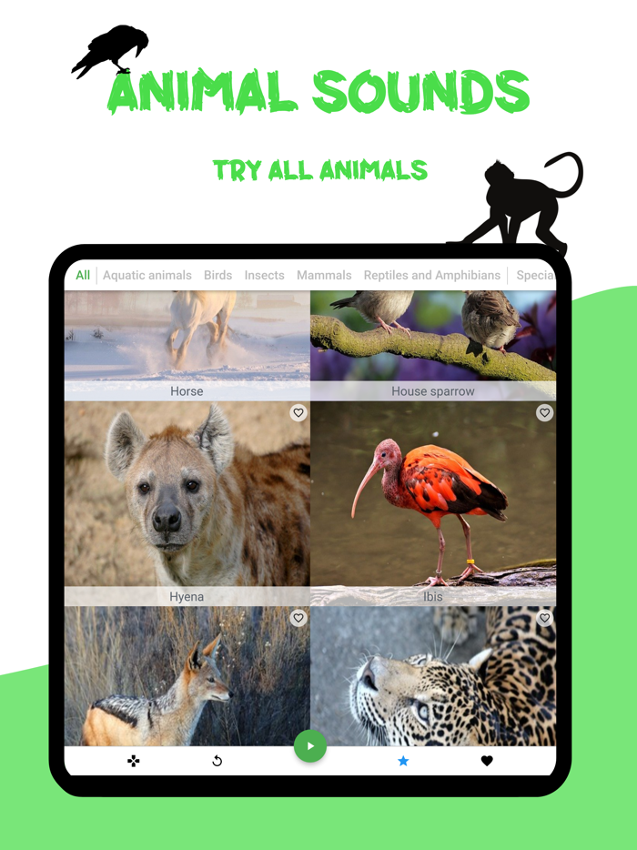 Animal sounds, Guess the verse