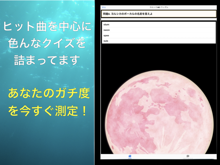 クイズforヨルシカ