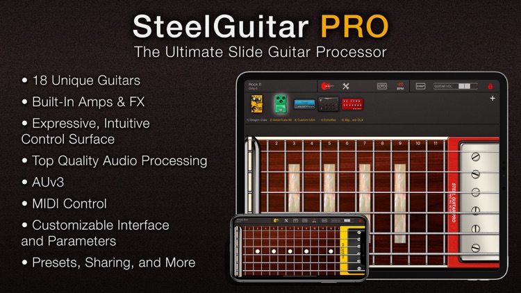 Steel Guitar PRO screenshot-0