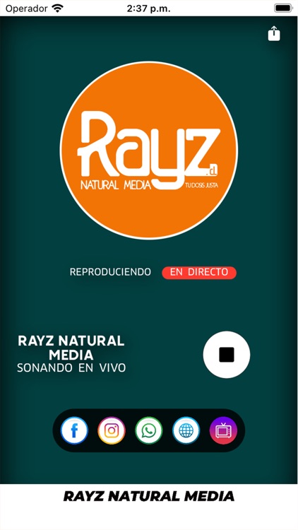 Rayz Natural Media