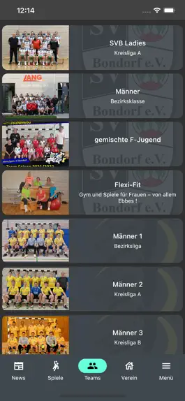 Game screenshot Handball im AmmerGäu hack