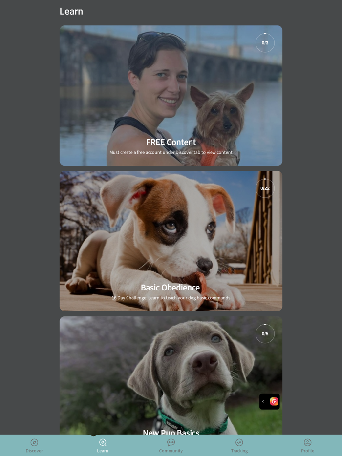 Pawsome Behavior Dog Training