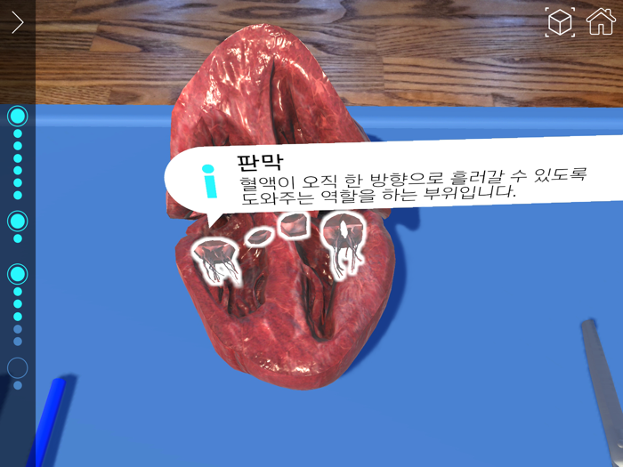 AR 해부실험실