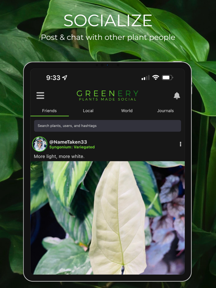 Greenery Plants Made Social