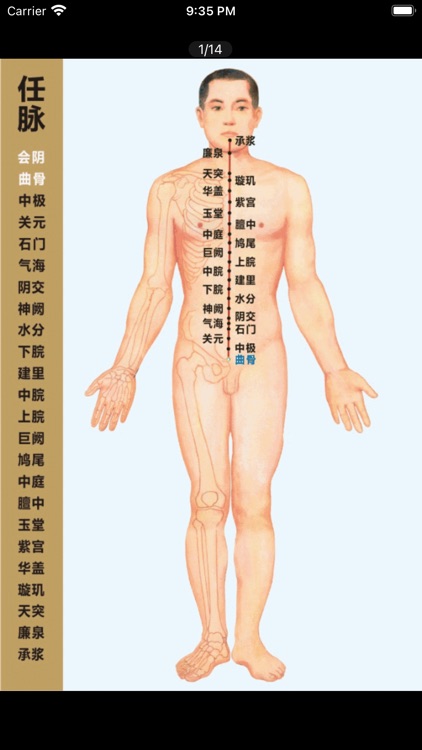 景募-针灸经络穴位