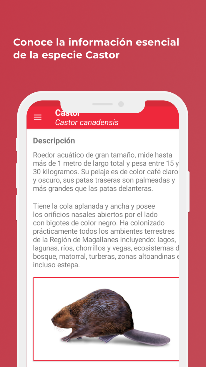 Alerta Especies Invasoras