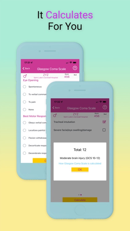 Nurse Assess: charting & notes screenshot-3