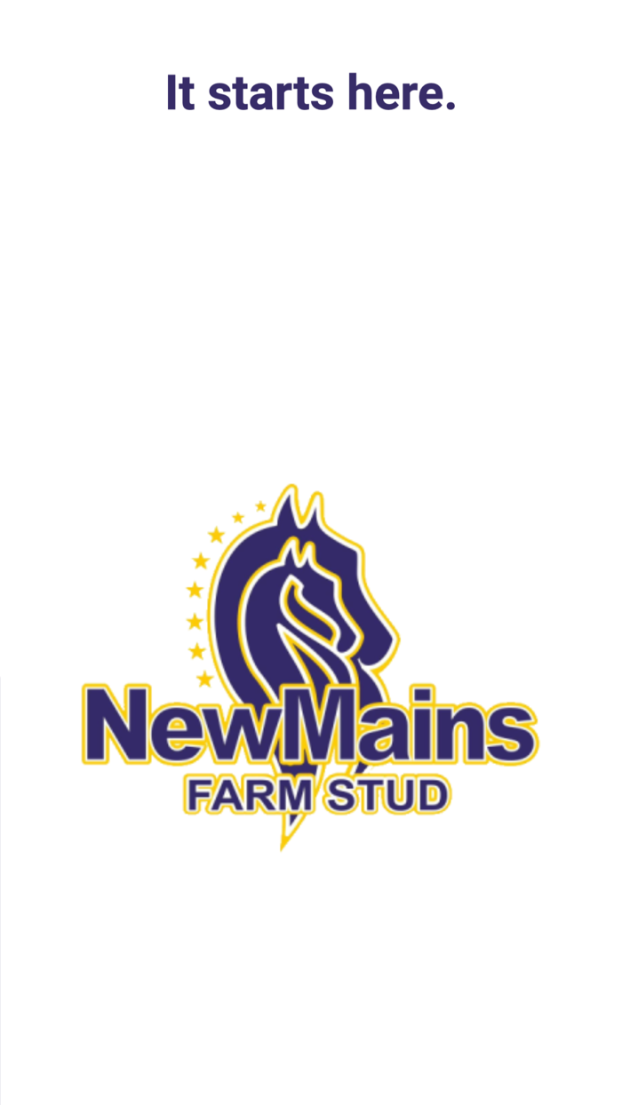 NewmainsFarmStud