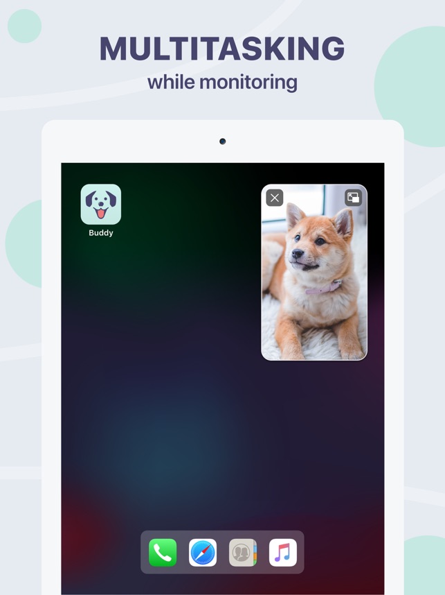 Buddy 犬のモニターとペットのカメラ をapp Storeで