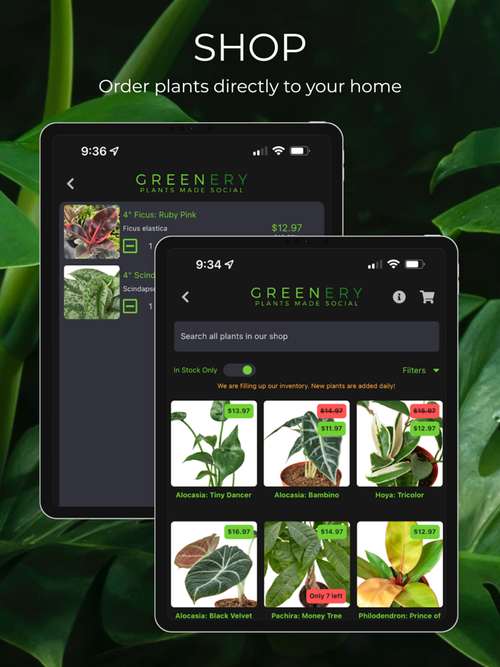 Greenery Plants Made Social