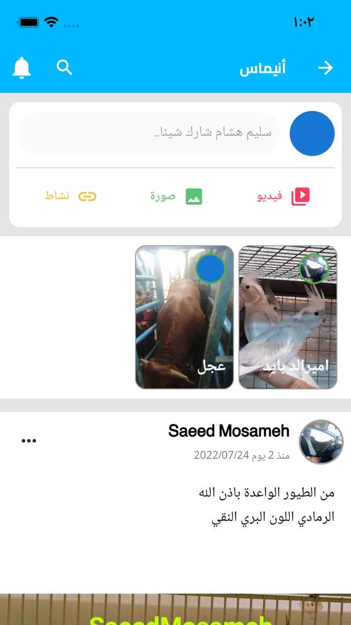 Animass  أنيماس