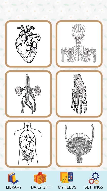 Anatomy Coloring Book.