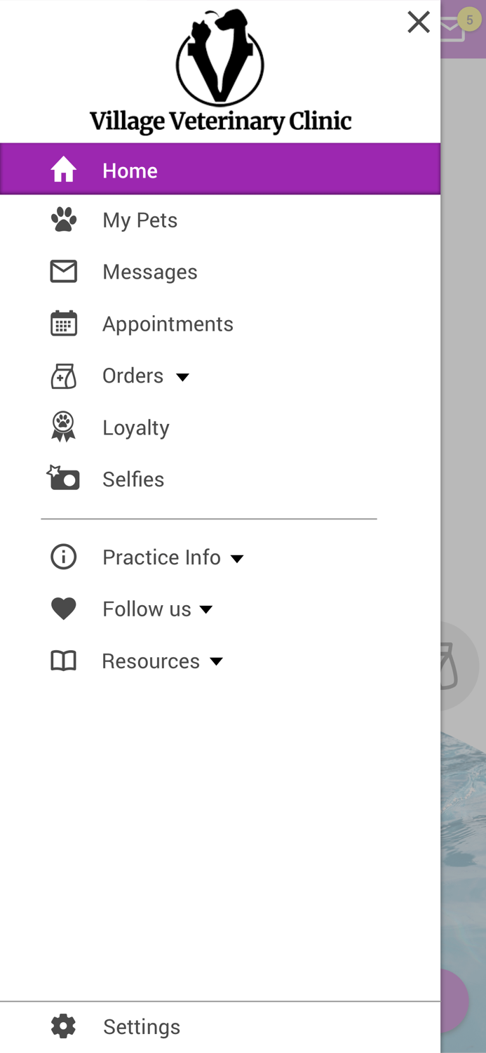 Village Vet Clinic OH