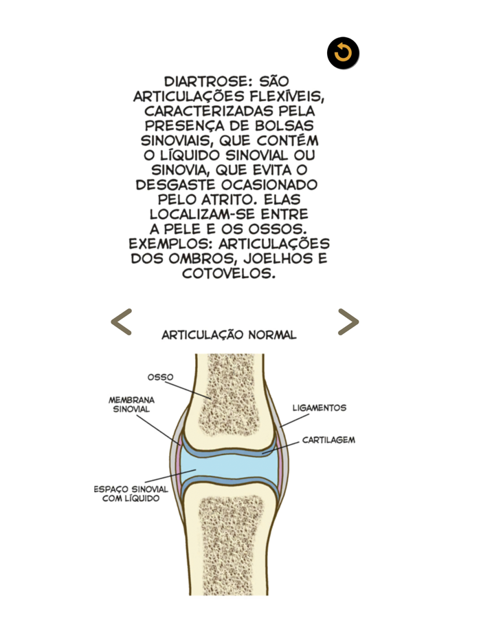 Anatomia Fácil na Palma da Mão