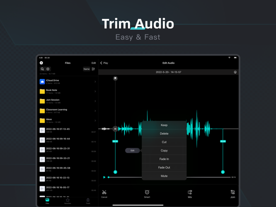 Voice Recorder, Audio Memos screenshot 3