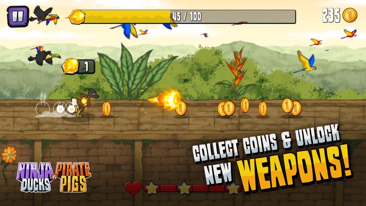 Ninja Ducks vs. Pirate Pigs screenshot-3