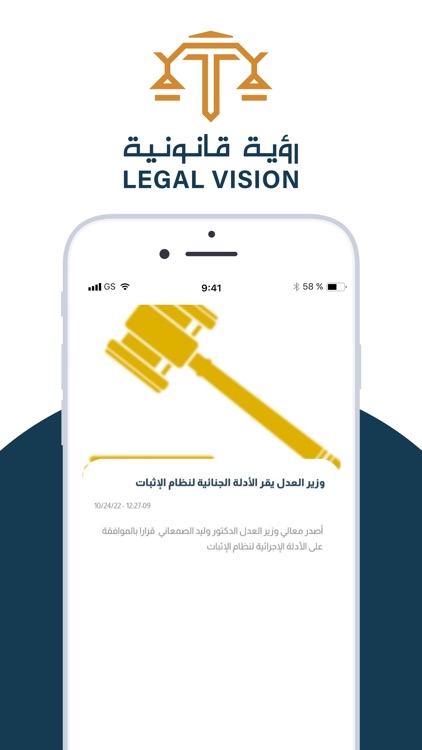 Legal Vision screenshot-3