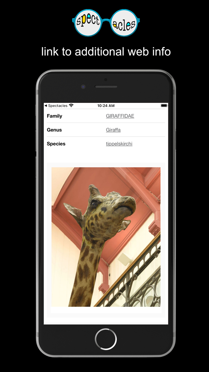 Spectacles Demonstration