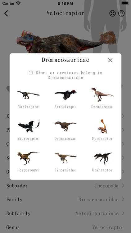 Dinopedia -kids' dinosaur park screenshot-4