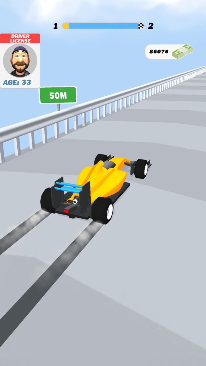 Master Driver 3D