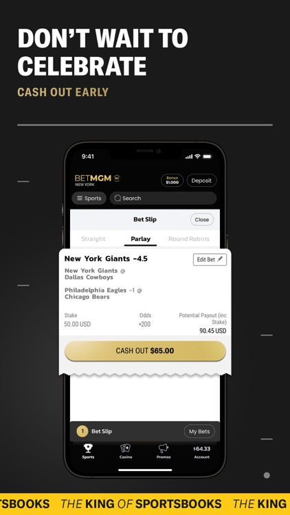 BetMGM Sportsbook screenshot-5