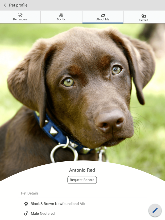 North Kenny Vet Hospital