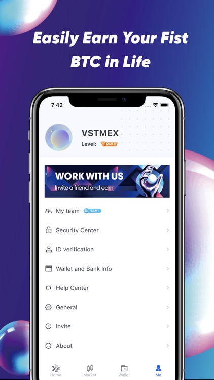 VSTMEX screenshot-3