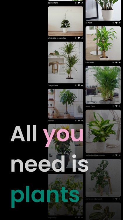 PlantIn: Plant Identifier screenshot-0