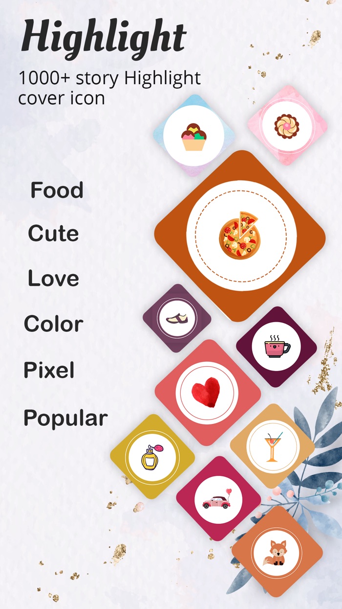 Insta Story Highligh