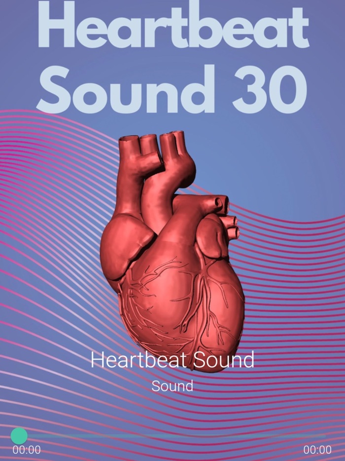 Heartbeat Sounds Pro