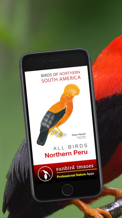 All Birds Northern Peru