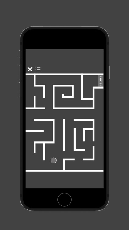 Ball Mazer screenshot-4