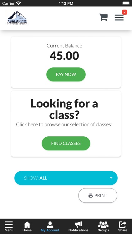 Avalanche Gymnastics Academy screenshot-3