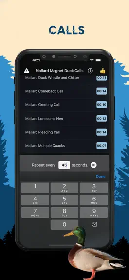 Game screenshot Mallard Magnet - Duck Calls hack