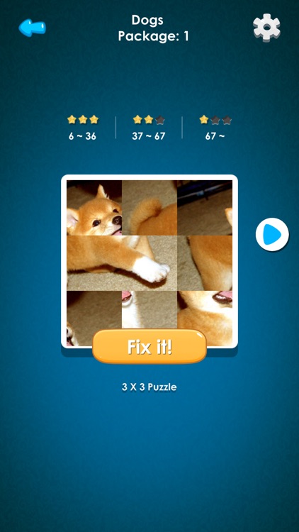 Slide Picture Puzzle.