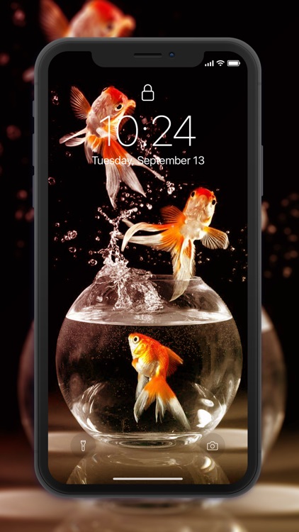 Fish Wallpaper 4D screenshot-6