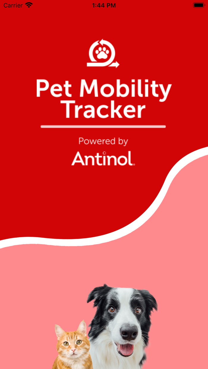 Antinol Pet Experience DE