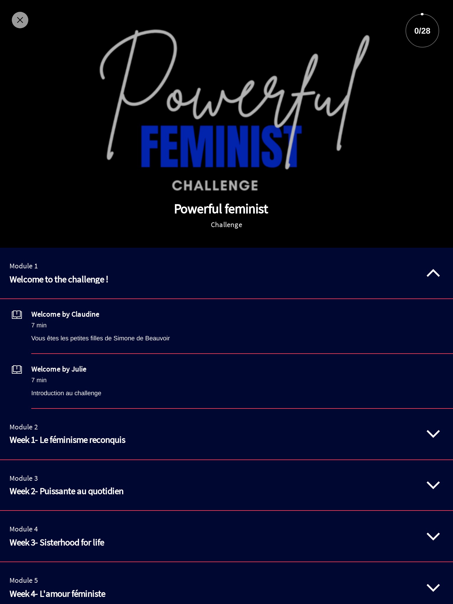 Feminists in the City screenshot 4