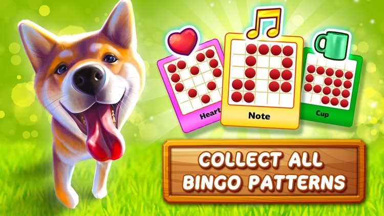 Bingo Dog - Fun Game 2022 screenshot-4