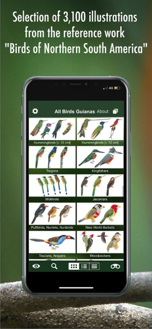 All Birds Guianas(圖8)-速報App