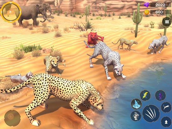 Wild Cheetah Family Sim 3D screenshot 3
