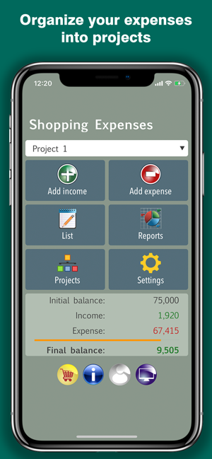 Shopping Expenses: Finance