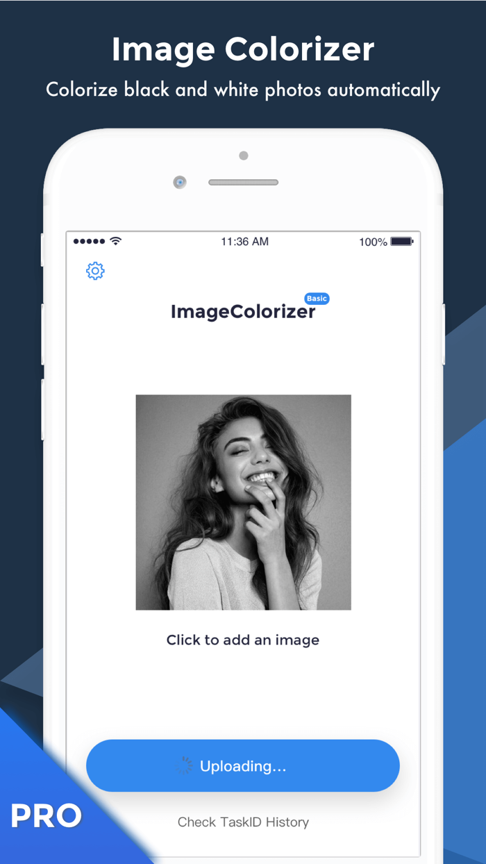 Image Colorizer Pro