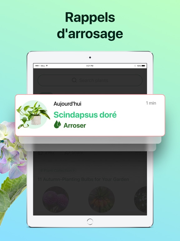 PictureThis:Identifier Plantes PictureThis:Identifier Plantes