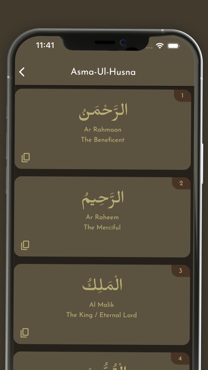 Quran Urdu Audio Translation screenshot-4