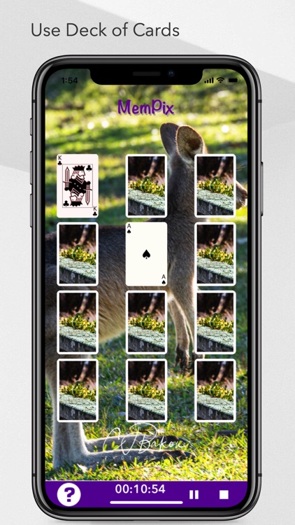 MemPix: photo matching game screenshot-9
