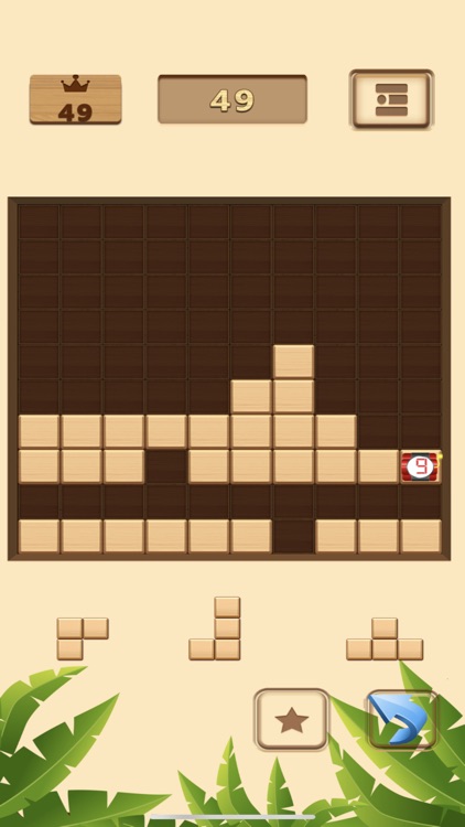 Block Puzzle Woodoku Premium screenshot-3