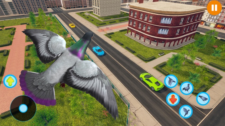 Flying Bird Pigeon Games