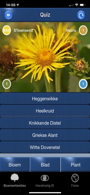 Wilde Bloemen Id NL(圖5)-速報App