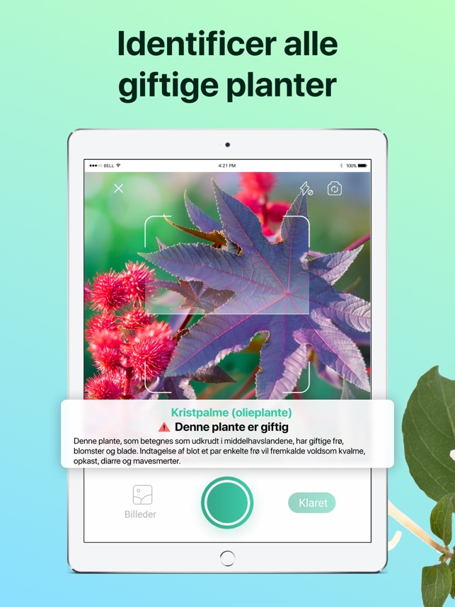 Plant Identifier i App Store